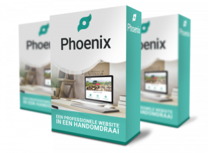 phoenix-seo-landingspagina-software-500x367 Phoenix een professionele website in een handomdraai